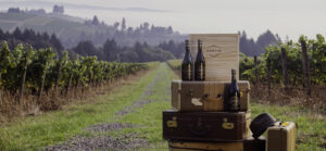 suitcases and wine in a vineyard
