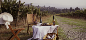wines on a picnic table in a vineyard