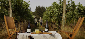picnic in a vineyard with people walking behind